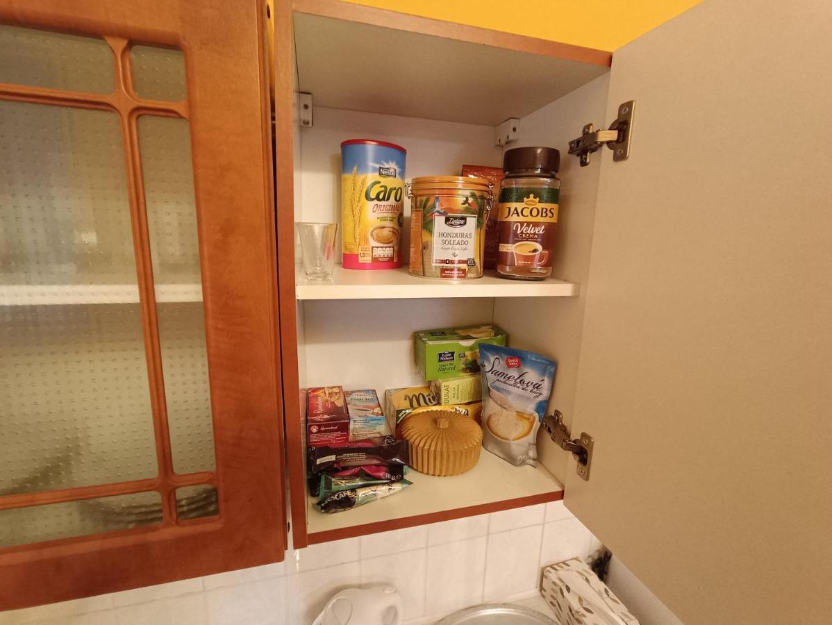 Apartman Horni Slavkov Hodinarstvi Dış mekan fotoğraf